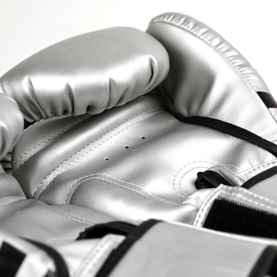 Twins Special "FBGDM3-TW6 Silver" Boxing Glove